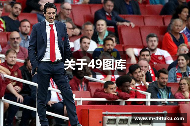 关于49图库
